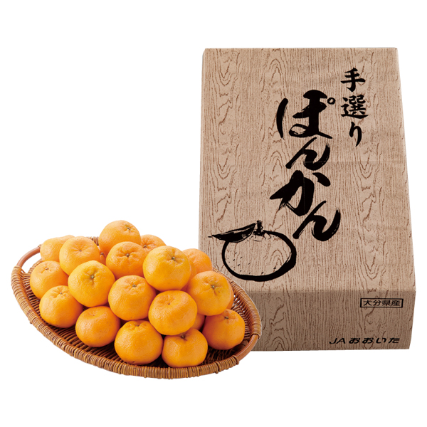 啪Y ۂ񂩂 (OP-50)y͂ԁF12{`z